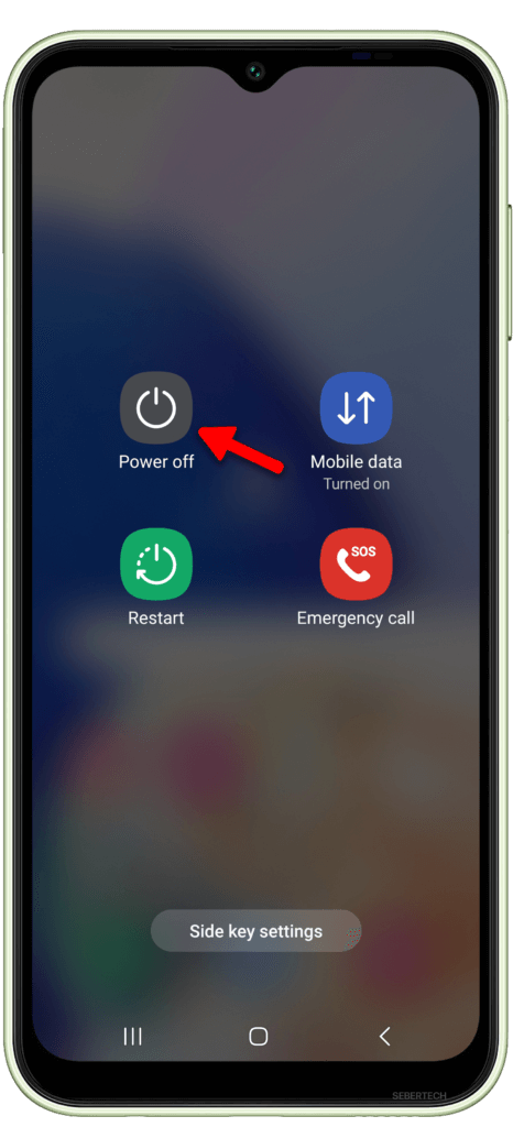 Tap and hold the Power off option.