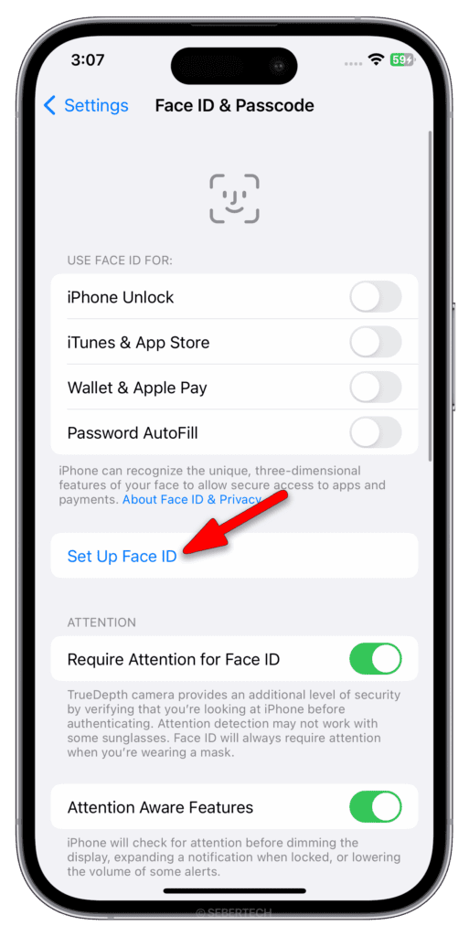 Tap Set Up Face ID.