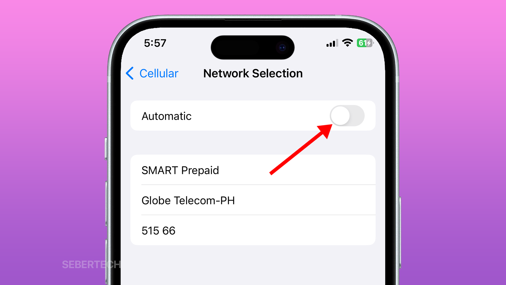 How to Disable Automatic Network Selection on iPhone 15 5