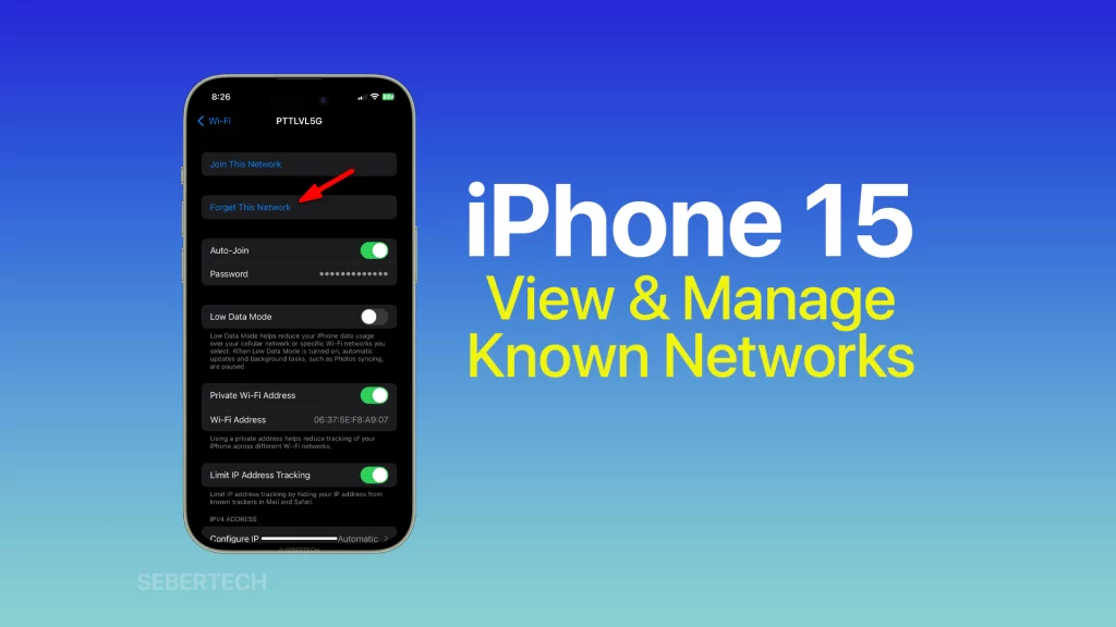 iPhone 15 view and manage networks