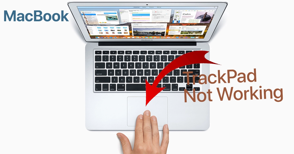 fix MacBook Trackpad Not Working