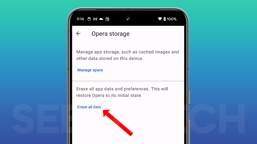 How to Reset Applications on Google Pixel 8 Pro 3