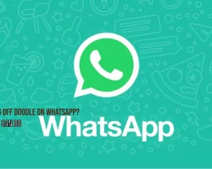 What To Do When Doodle Is Not Turning Off on WhatsApp
