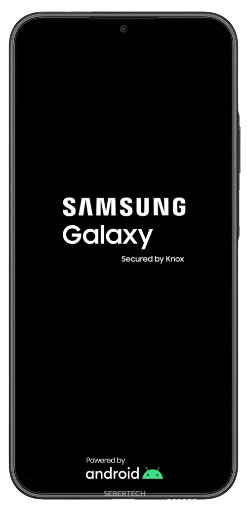 Release both buttons when the Samsung logo appears.